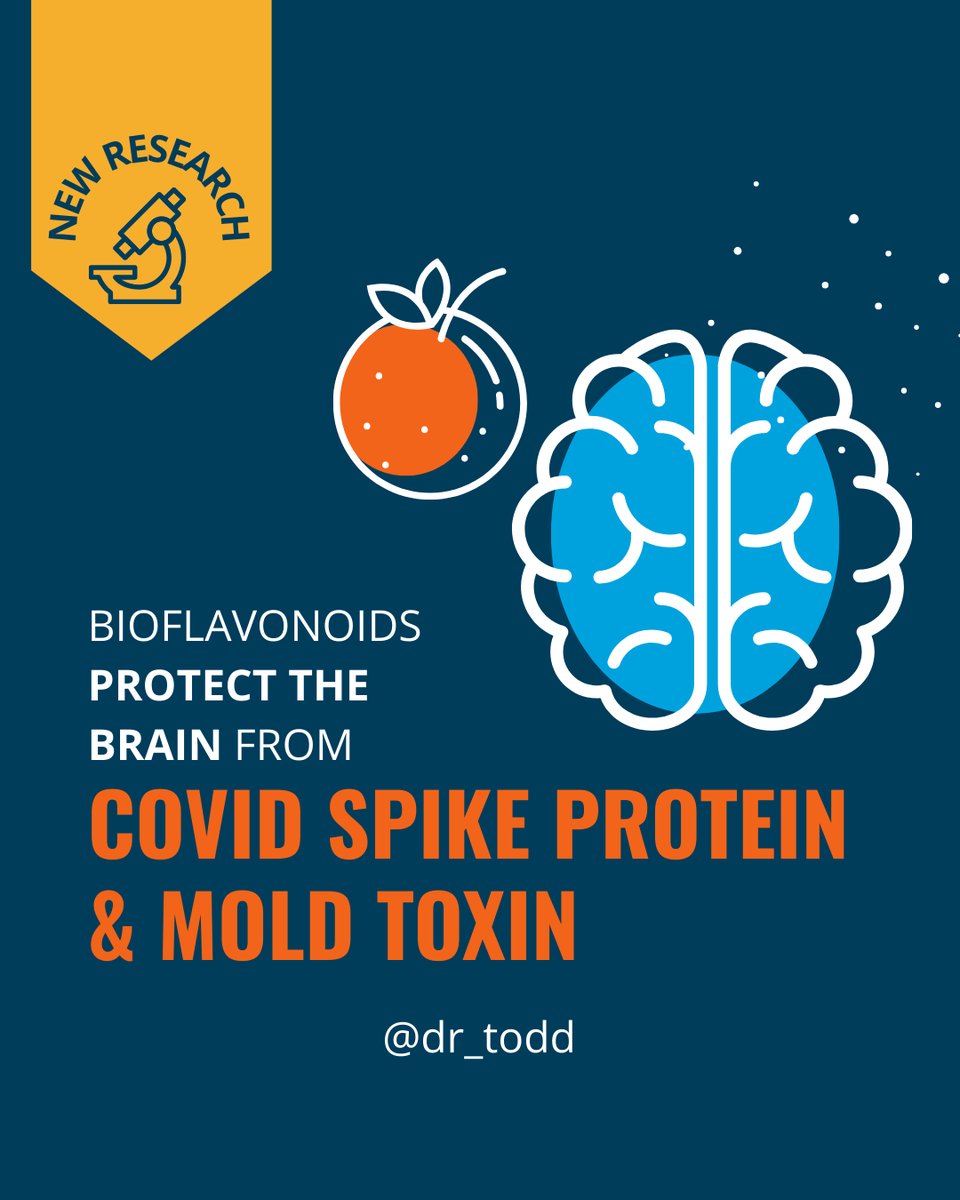 New research highlights the power of two #bioflavonoids, nobiletin and eriodictyol, in protecting the brain from inflammation caused by the #COVID spike protein and the mold toxin ochratoxin A. 

✅ Ochratoxin A &amp; Spike Protein exposure triggered high levels of inflammatory