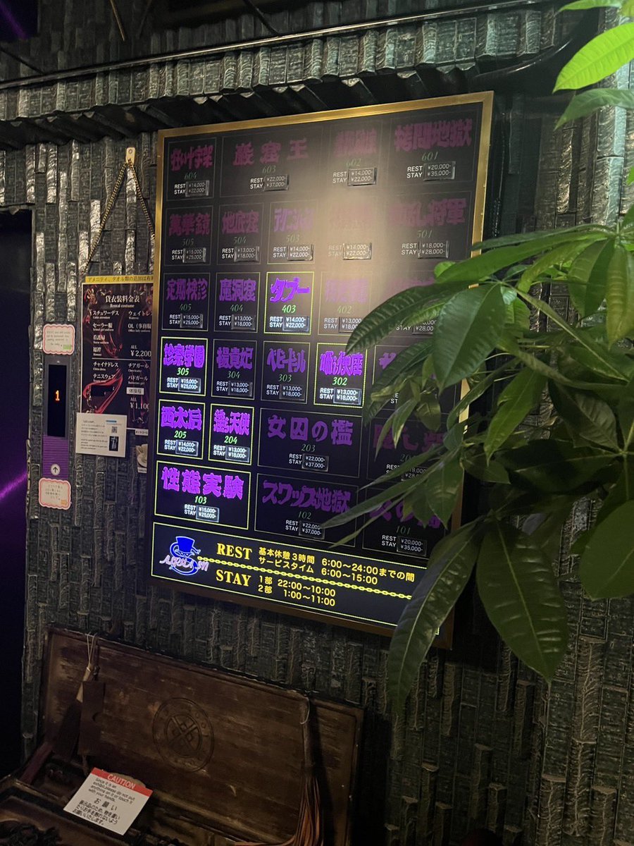 あげ忘れていました。。IN💫