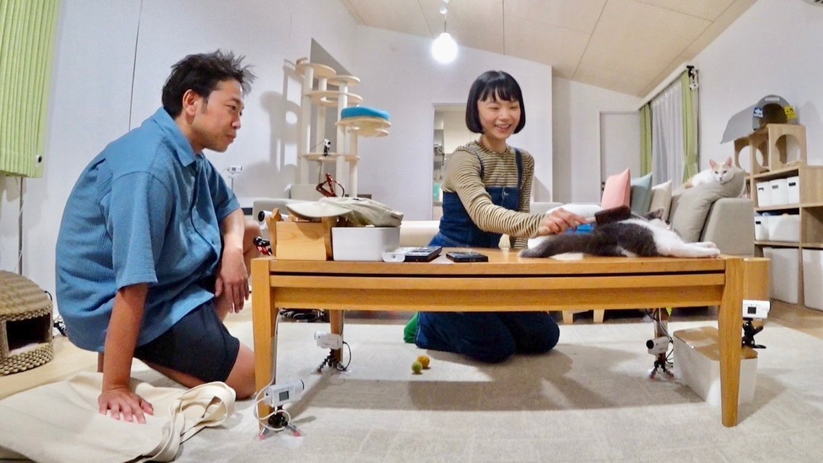 minnano_zoo_ntv's tweet image. 預かり始めて9か月半…

日を追うごとに #サンシャイン池崎 と
風ちゃん雷ちゃんへの愛が増すブルボン🐱

ブラッシング＆爪切りにチャレンジ💪

さらに！
大の猫好き女優  #古川琴音 さんが
ブルボンの人なれ助っ人で登場💕︎

訪問者史上初の作戦を決行！？

#嗚呼みんなの動物園 3時間SPは
今夜7時👀