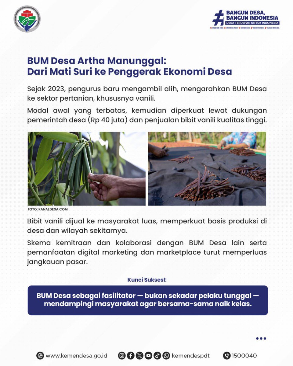 Dari pekarangan sempit, kini harum vanili desa menembus rak pasar dunia. 🌱🌍
Di Desa Kebonrejo, BUM Desa Artha Manunggal  menjadi motor penggerak ekonomi lewat budidaya vanili kualitas ekspor.