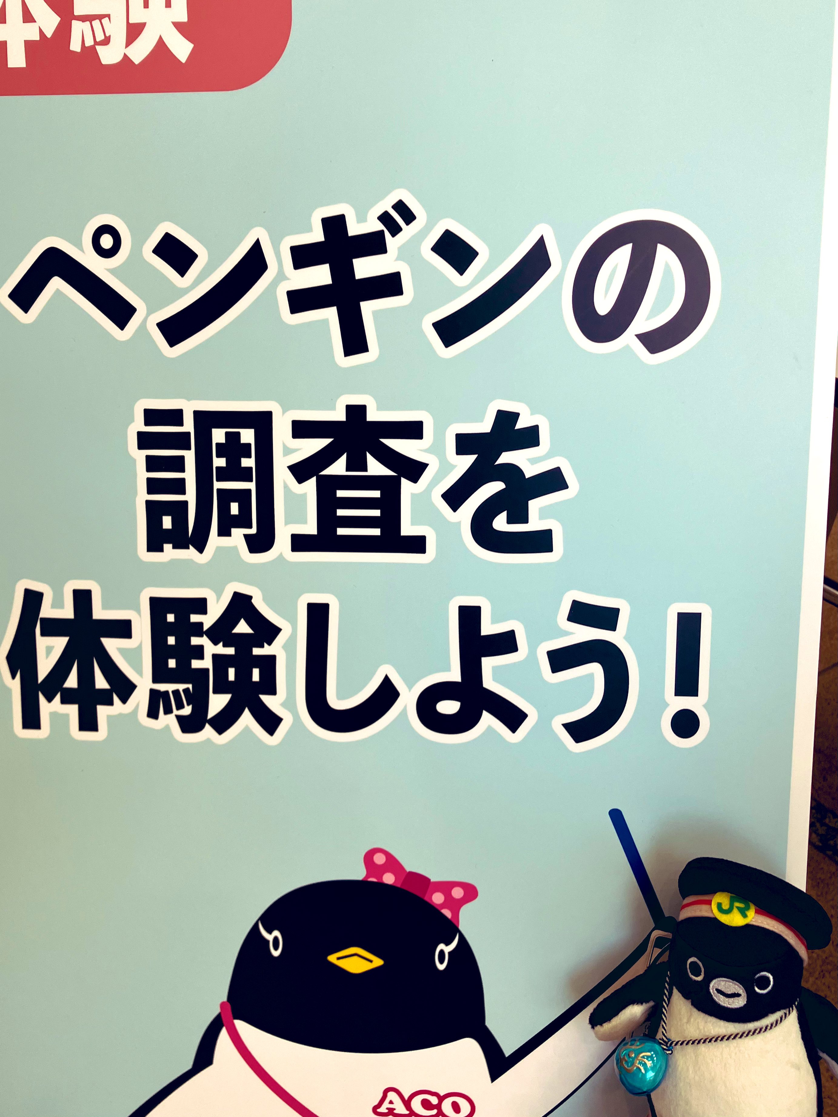 まりっちページ 589c91172508a8bd4235e8d9ffdabb