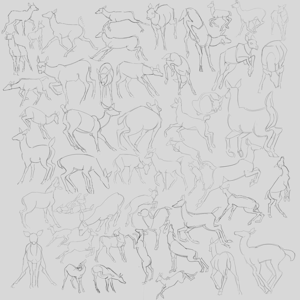 Deer gestures