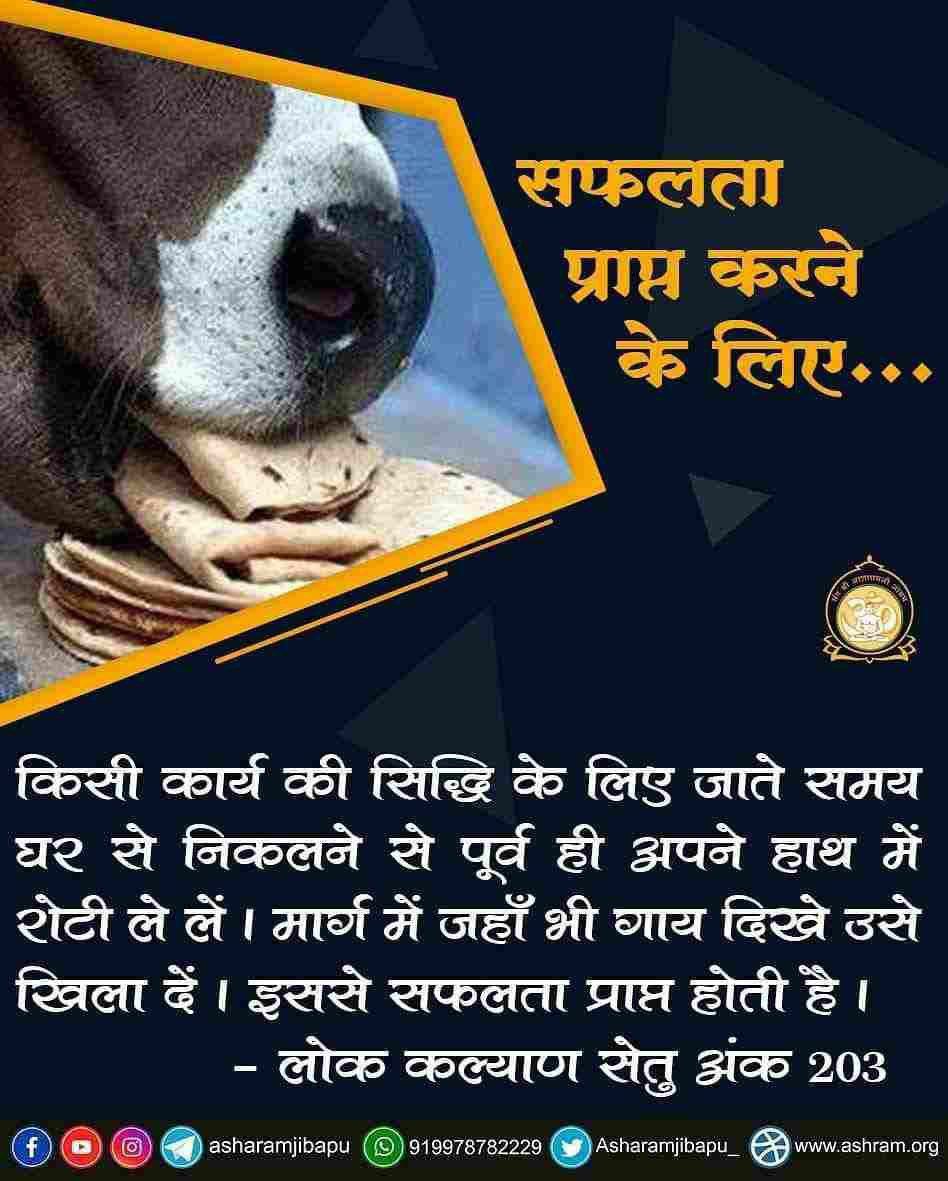 किसी भी कार्य के लिए घर से निकलते है तो साथ में रोटी और गुड़ ले ले और मार्ग में जहाँ भी #गौमाता दिखे उसे प्रेम से खिला दें। इससे जिस कार्य के लिए निकले है वह सिद्ध होता है, सफलता प्राप्त होती है।

#SaveDesiCow