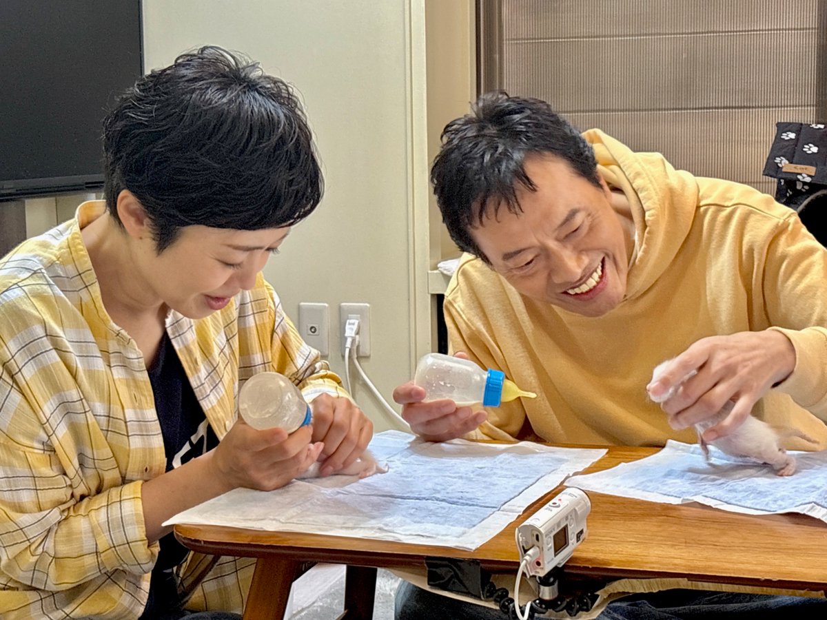 minnano_zoo_ntv's tweet photo. 様々な理由で保護された
猫ちゃんたちをお世話する
#ミルクボランティア 🍼

#有働由美子 さんが
行き場のない猫ちゃんを保護し育てた
経験を持つ #遠藤憲一 さんと

未熟児として生まれた"ぐり"ちゃんや
生後わずか6日の"しろ"ちゃんの
母猫代わりに☺️

#嗚呼みんなの動物園 3時間SPは
今夜7時！ https://t.co/VlM8sEXPMV