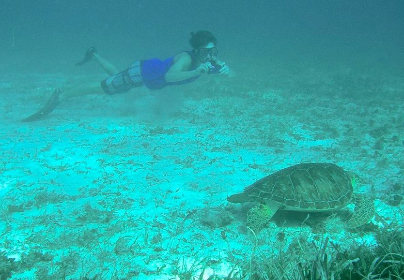 SEEturtles's tweet image. 🌊 Join us in Belize!

Aug 1–6, 2026: Help research sea turtles, dolphins &amp;amp; manatees at St. George’s Caye with @EcoMarBelize.
Snorkel coral reefs, explore Hol Chan, and add a 2-day Tikal &amp;amp; rainforest adventure!

Info 👉 seeturtles.org/ecotrips
#Belize #EcoTravel #SeeTurtles
