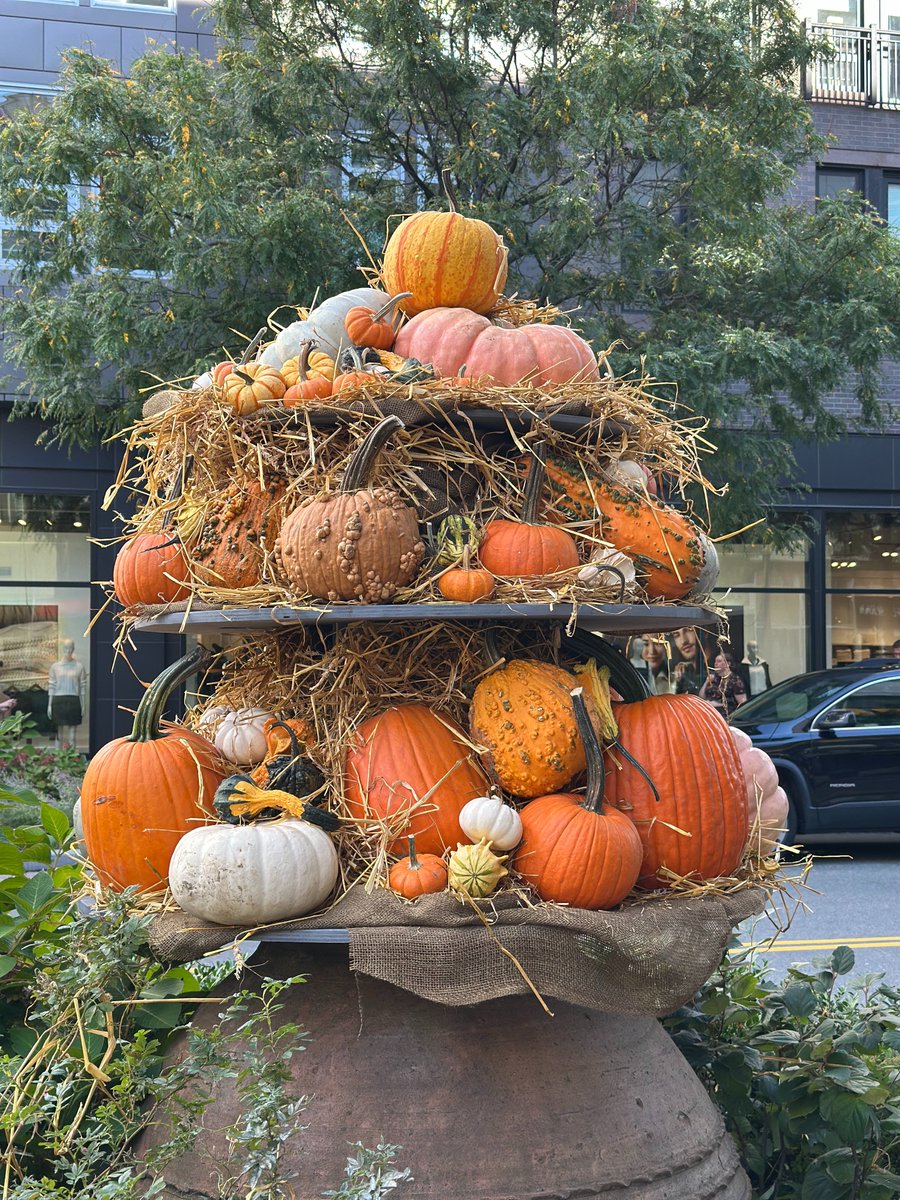 berryjooks's tweet image. Celebrating life in general, and cannoli in particular, with @birdssistah
#AssemblyRow #FallVibes #SaltandStone #MikesPastry