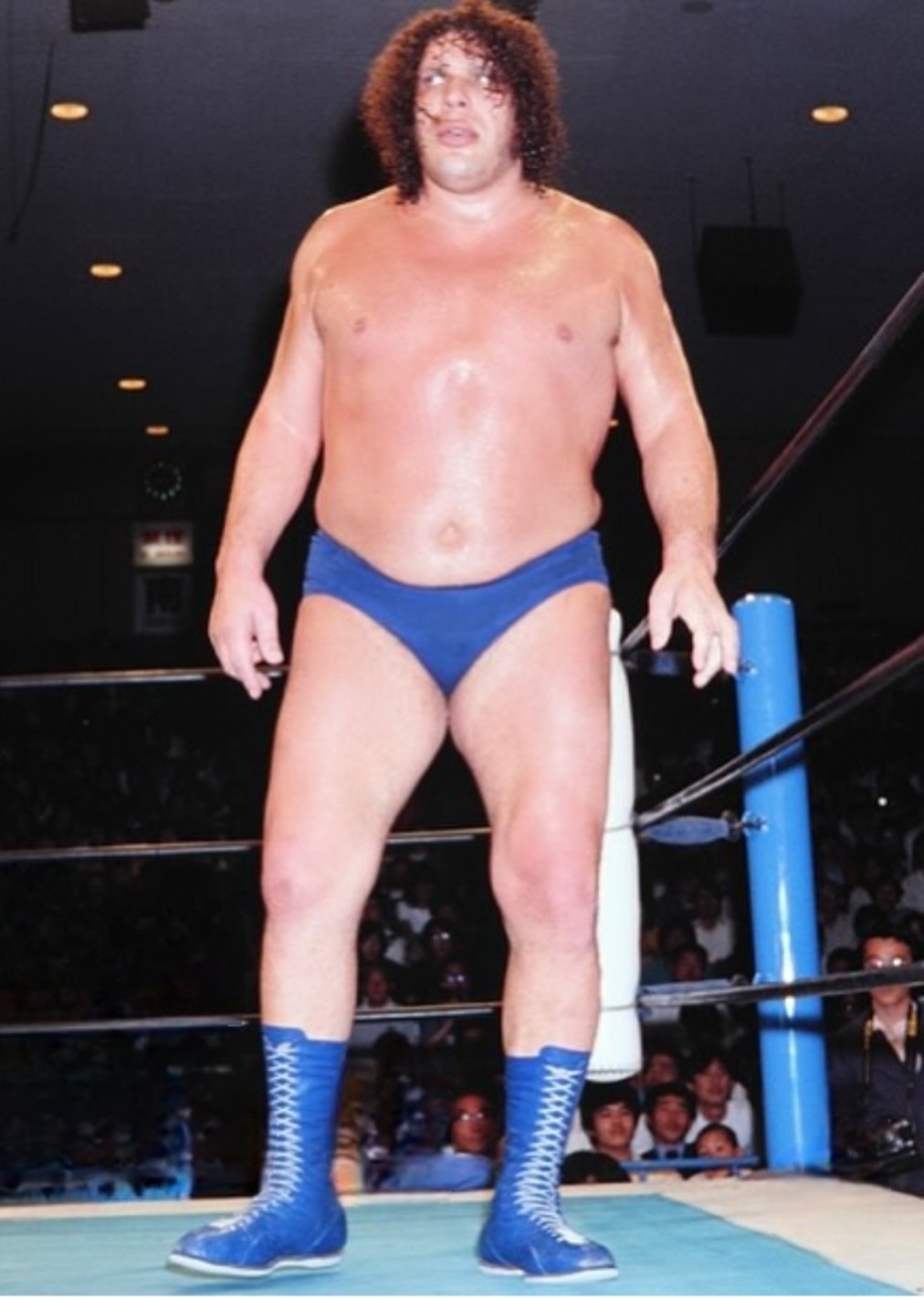 エリート アルティメット アンドレ ザ ジャイアント プロレスラー