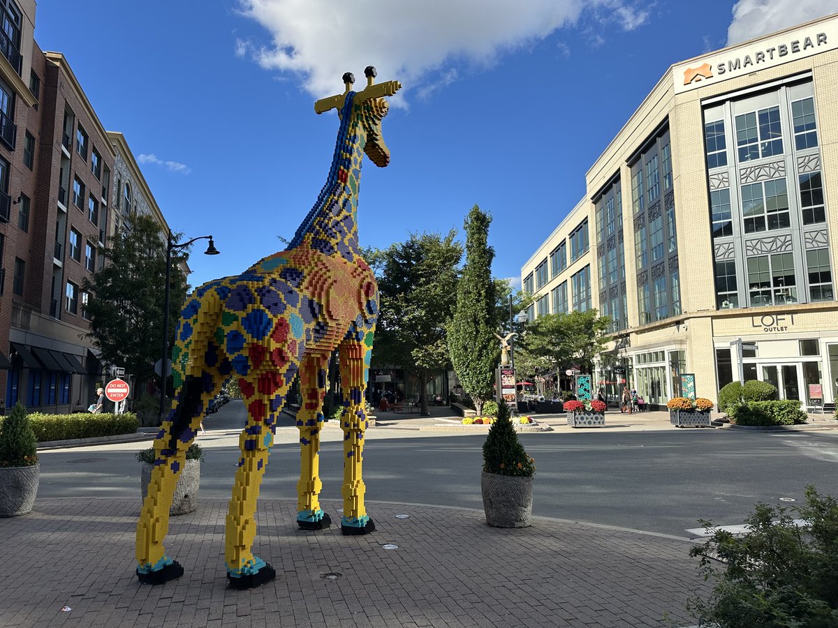 berryjooks's tweet image. #LEGO #AssemblyRow with @birdssistah