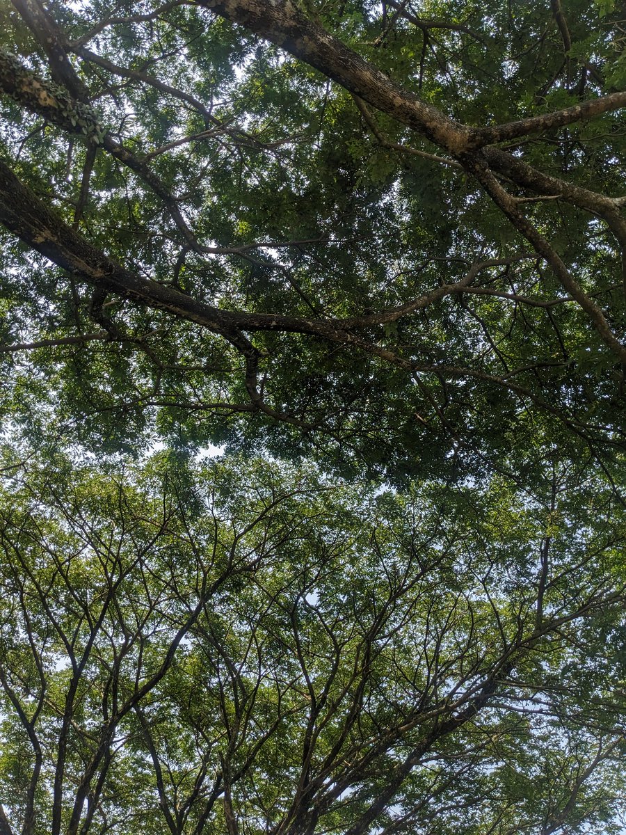 Manusia itu periode.
Manusia itu menunggu giliran.
Tunggu jangka waktu.