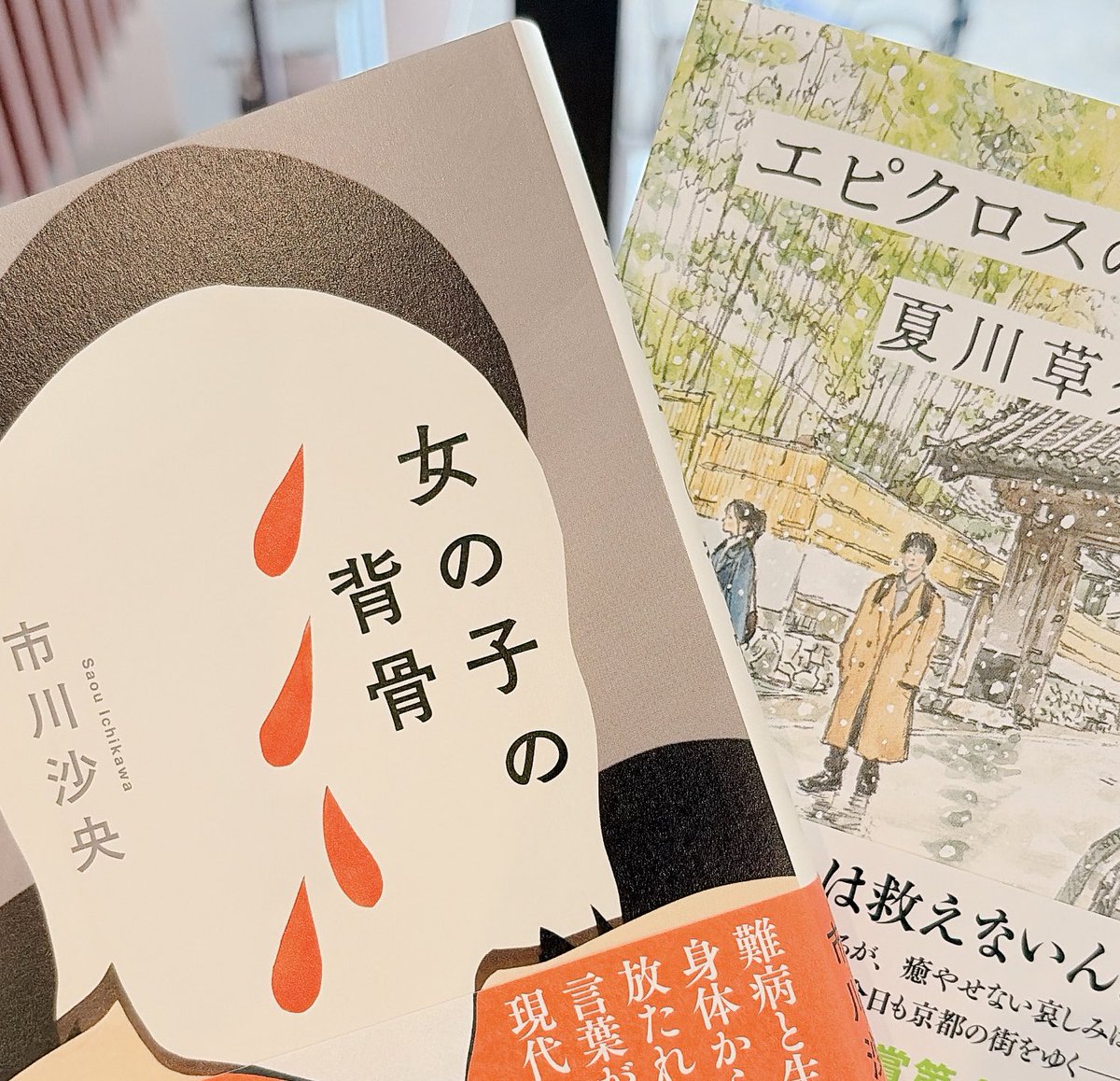 tomobook_panda's tweet image. 好きな作品の続編と、
好きな作家さんの第二作をゲット🥹