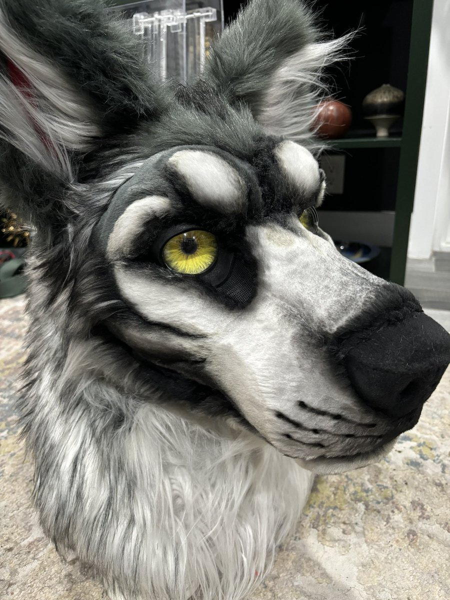 Final detailing complete.