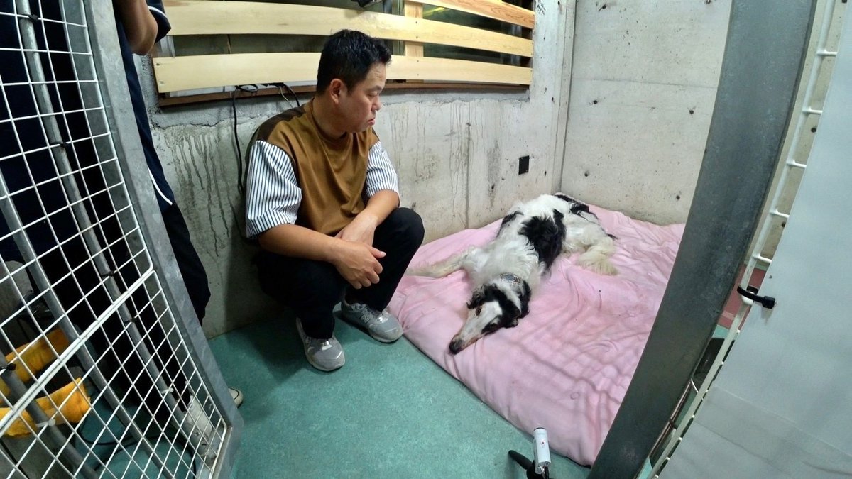 嗚呼‼︎みんなの動物園 on X: 