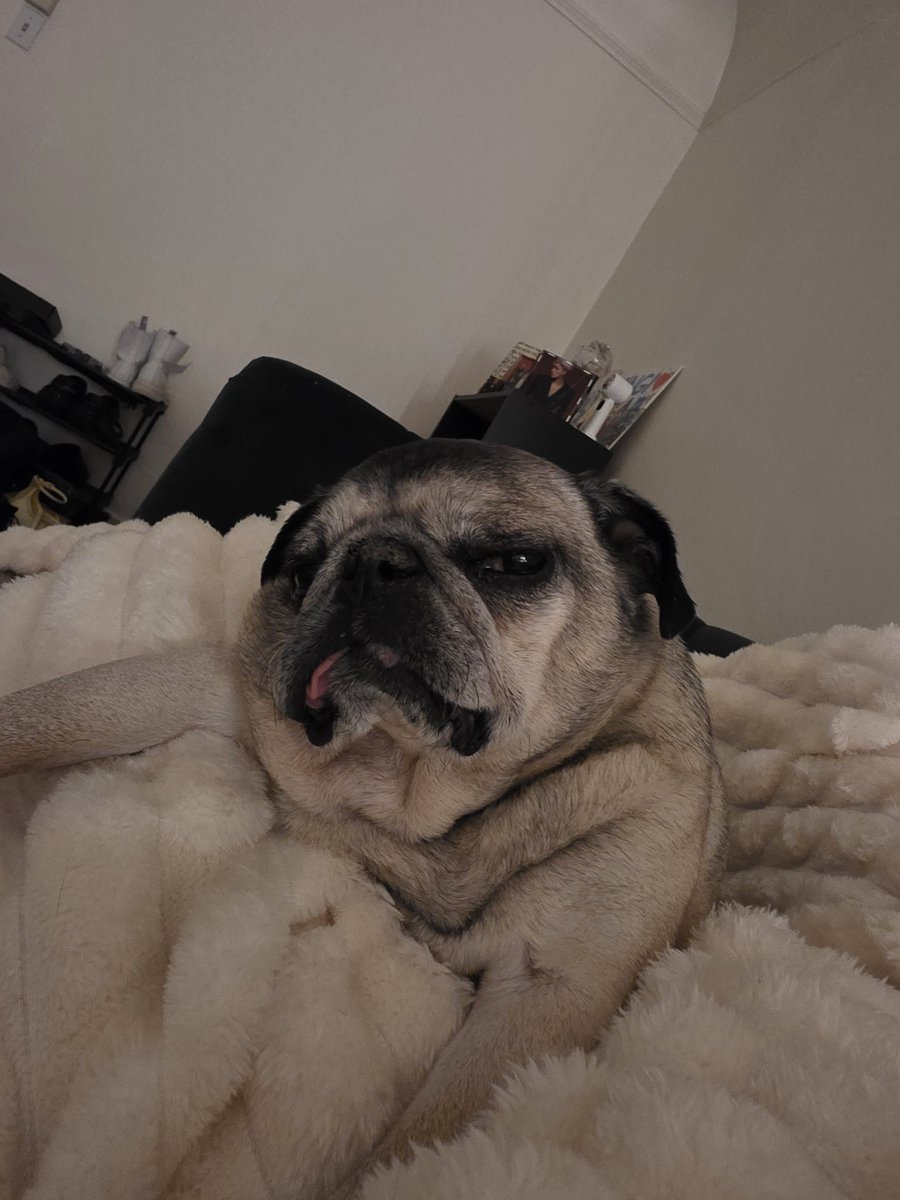 Jackie - @jackiehorrorshow.bsky.social tweet media