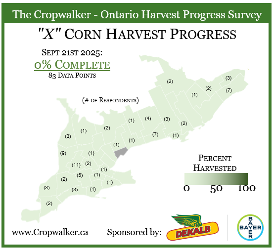 Jonathan Zettler 🇨🇦 tweet media