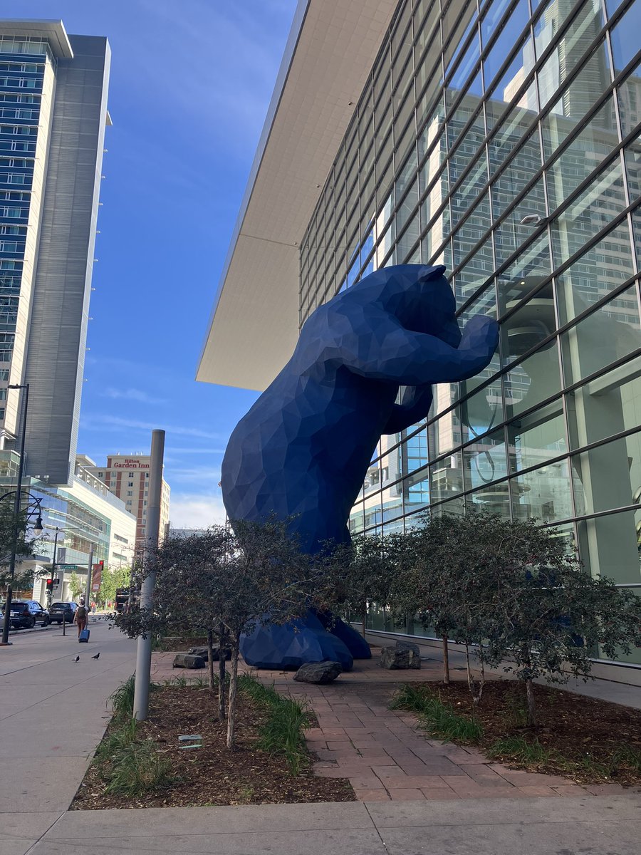 Lorraine Kelley-Quon, MD, MSHS, FACS, FAAP tweet media