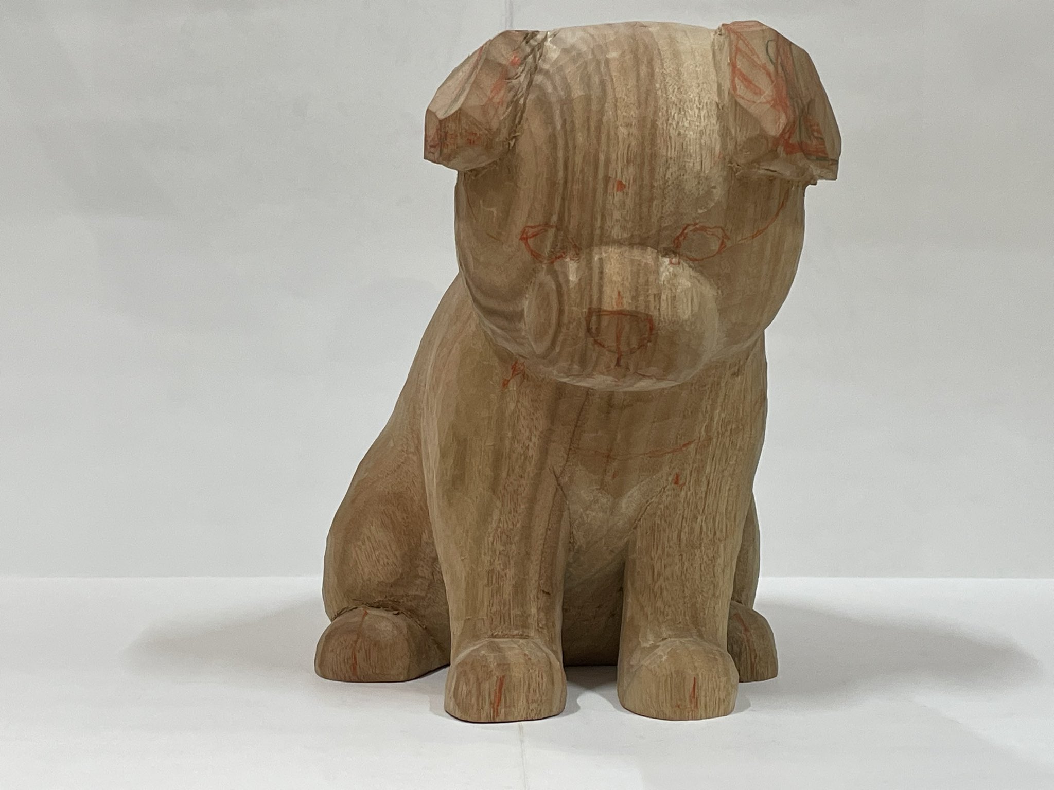 犬の頭部を持つ樹脂製彫刻 犬の頭部を持つ樹脂製彫刻 Amazon.co.jp: 犬の骨格モデル、