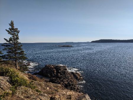 Weekly Thoughts: Nanaimo Bars - mailchi.mp/chenmark/nanai…