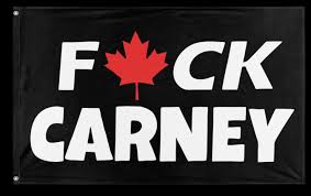 AlbertaGirl34's tweet image. I did not vote in this POS !!!#CarneyMustGo 
#LiberalsMustGo
