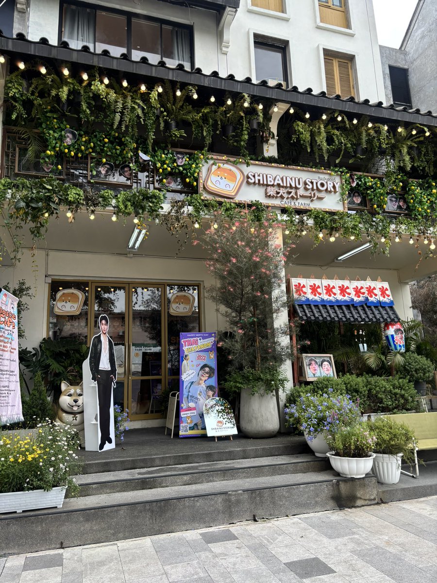 maimeearaimaii's tweet image. แวะมาหาน้องไทย กับน้องๆบ้าน Shibainu Story น่ารักมากๆเลยง่ะ 🥹❤️ #21stShiningTHAIstory