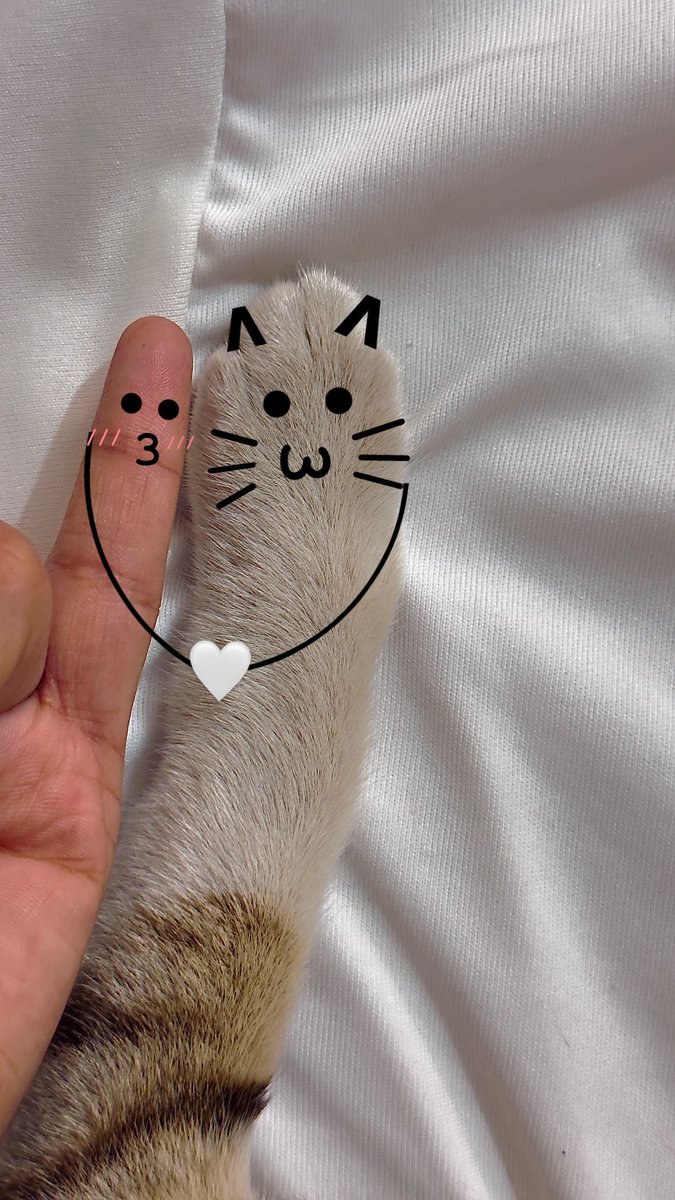 A veces un animalito es quien te cura el corazón ❤️‍🩹