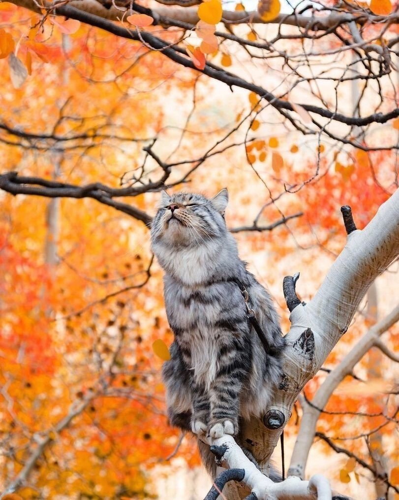 PROF_PROBLEM's tweet image. Hmmmm

Günaydın ☕✨
Mutlu keyifli hafta sonları..😊

⏳ Elbette ki çalışıyoruz🫣