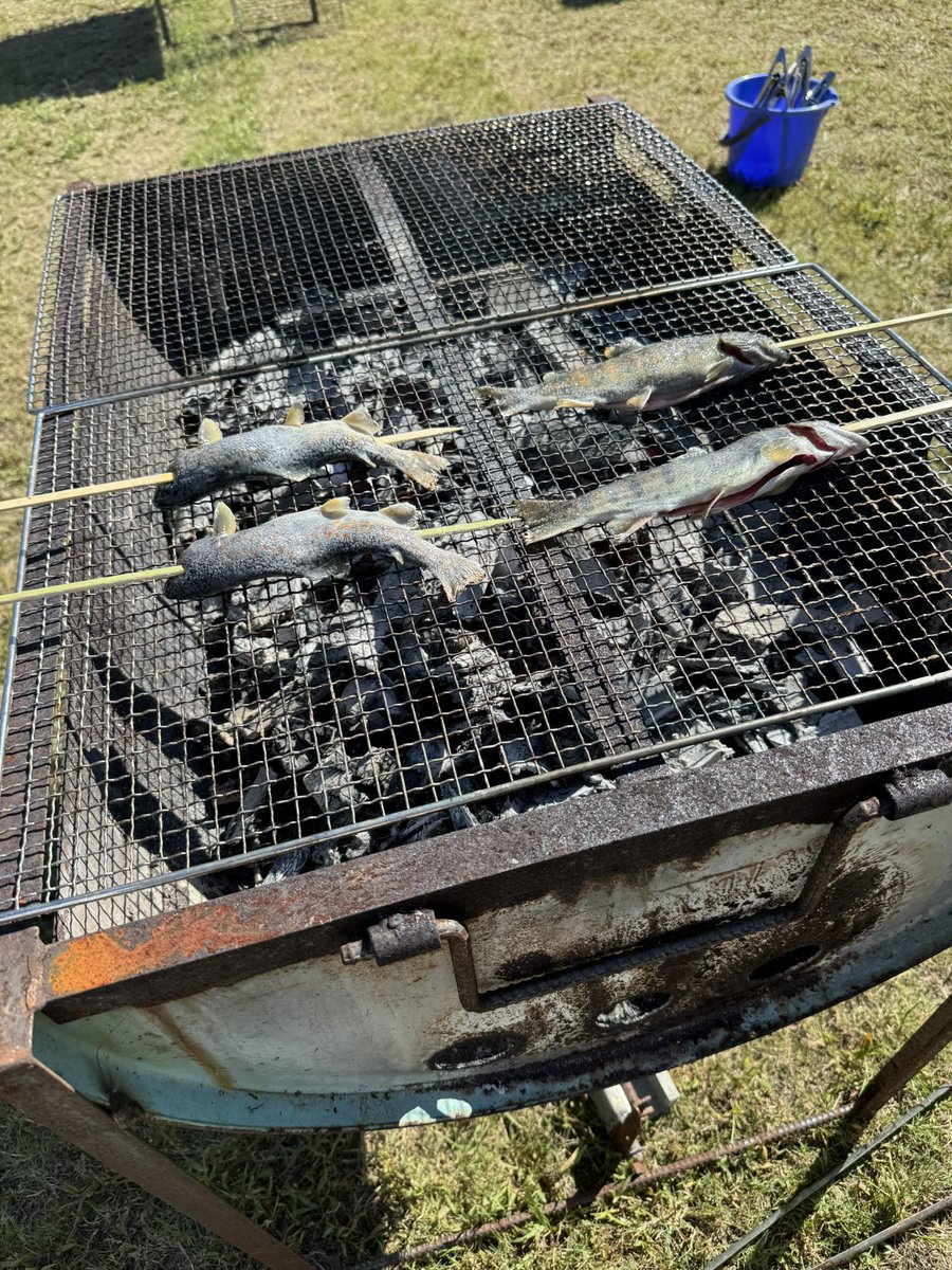 mituki_junpe's tweet image. 子供達が魚の掴み取りで取ってくれた😆✨その場で焼いて食べれて最高😍