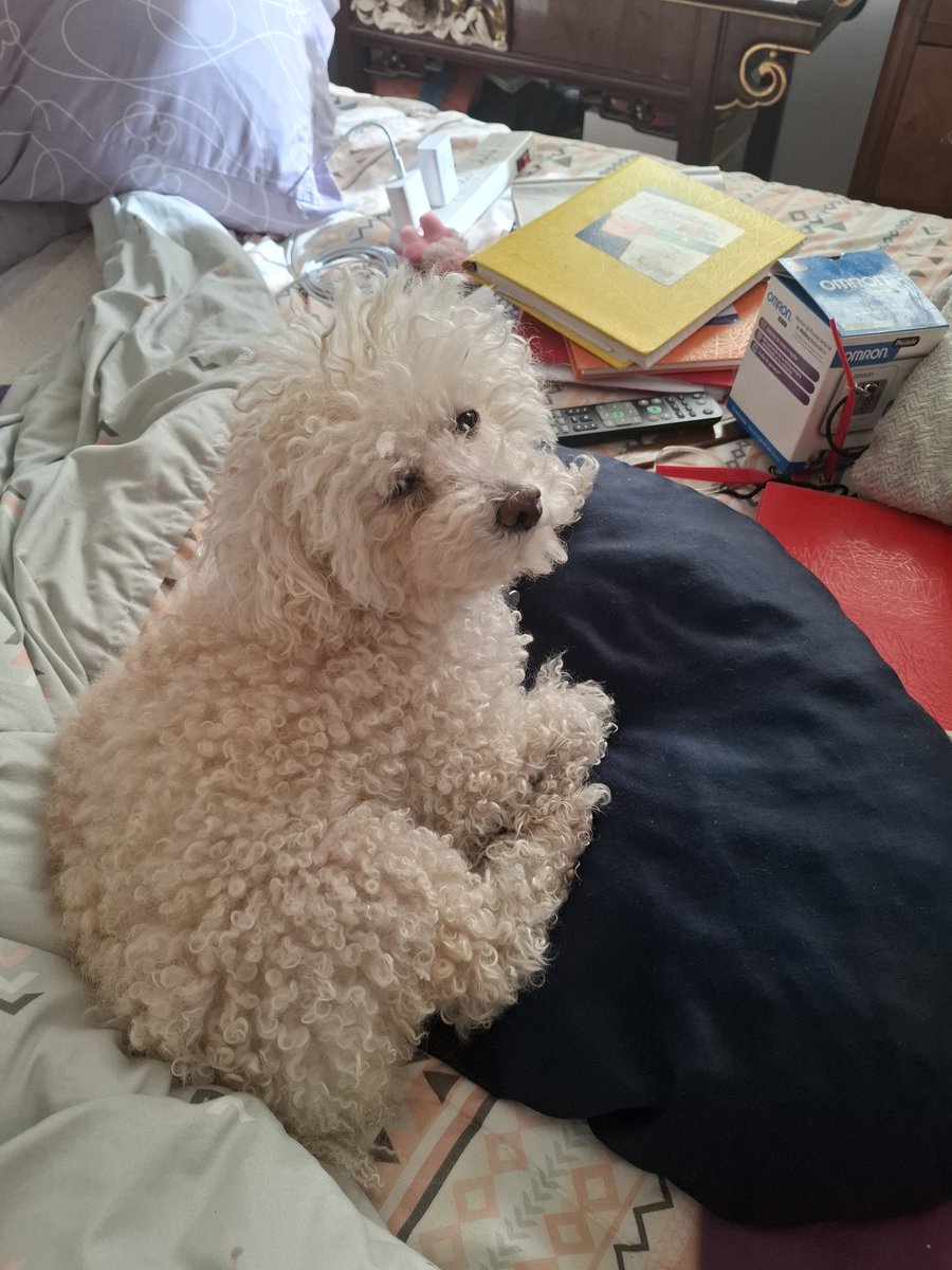 Marlyncris♍ tweet media