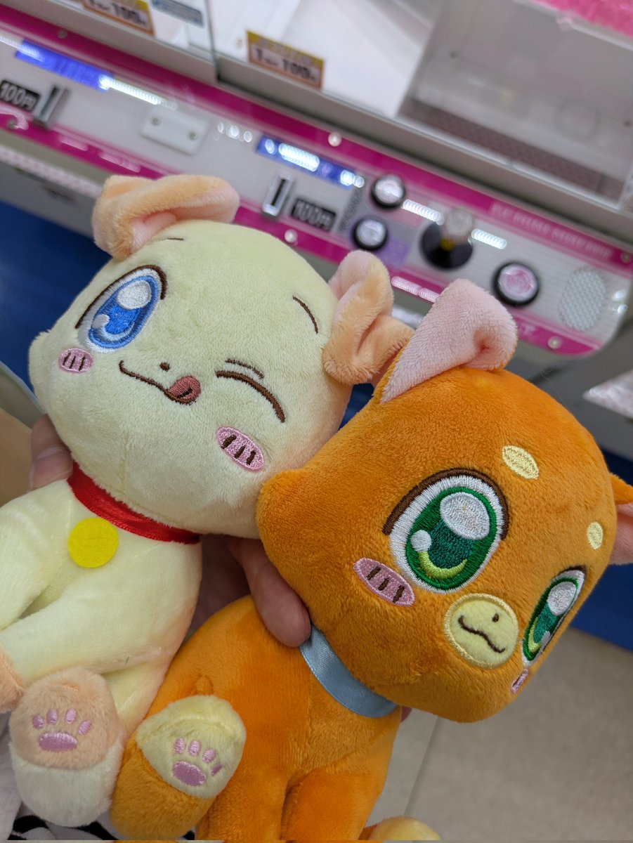 懐かしい子達をお迎えした