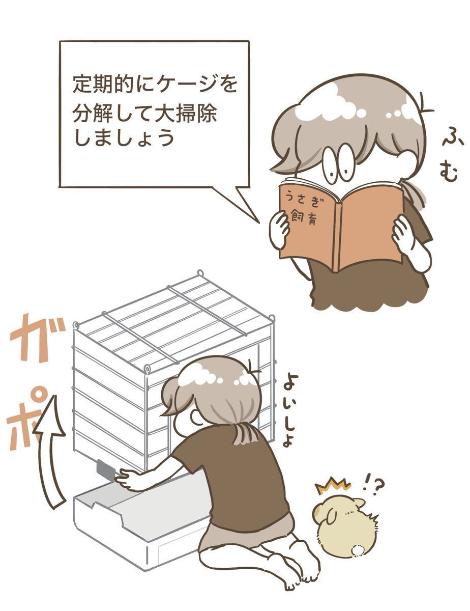 うにまるが子供のとき初めてケージ分解して丸洗いしてたら、とても焦っ