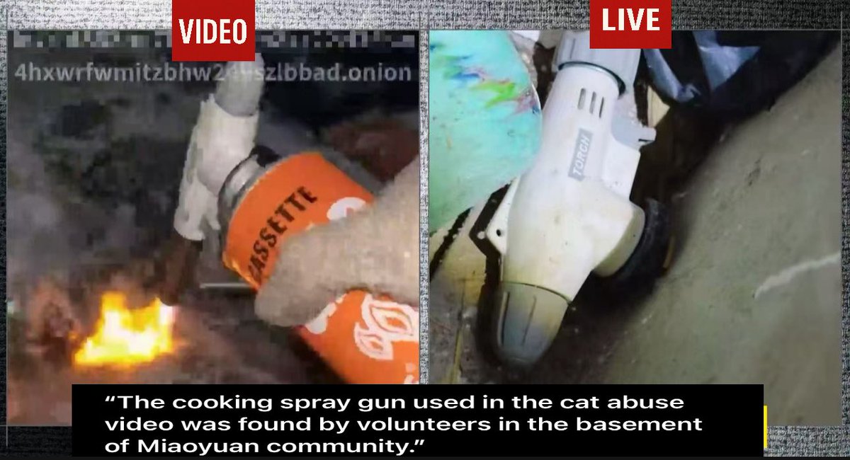 sne70433's tweet image. ‼️ WARNING: UTTERLY SICKENING AND SOUL-CRUSHING!  MEET THE ABUSER, AND CALL FOR  A GLOBAL BOYCOTT AGAINT CHINA 💔💔💔💔 🇨🇳🤢🤢🤢
 
Behold this stinking, foul scum of the Earth: Yao Yuan!

Yet Another Vile, Pus-Filled #MadeInChina Maggot Who Revels in Cat Atrocities!  This…