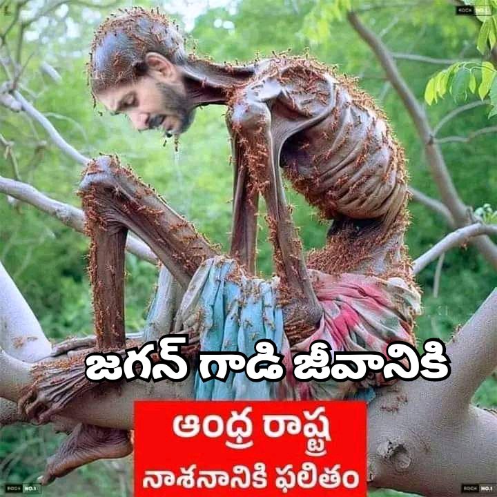 RamkakrishnaB's tweet image. లంజాకొడక 😡😡😡