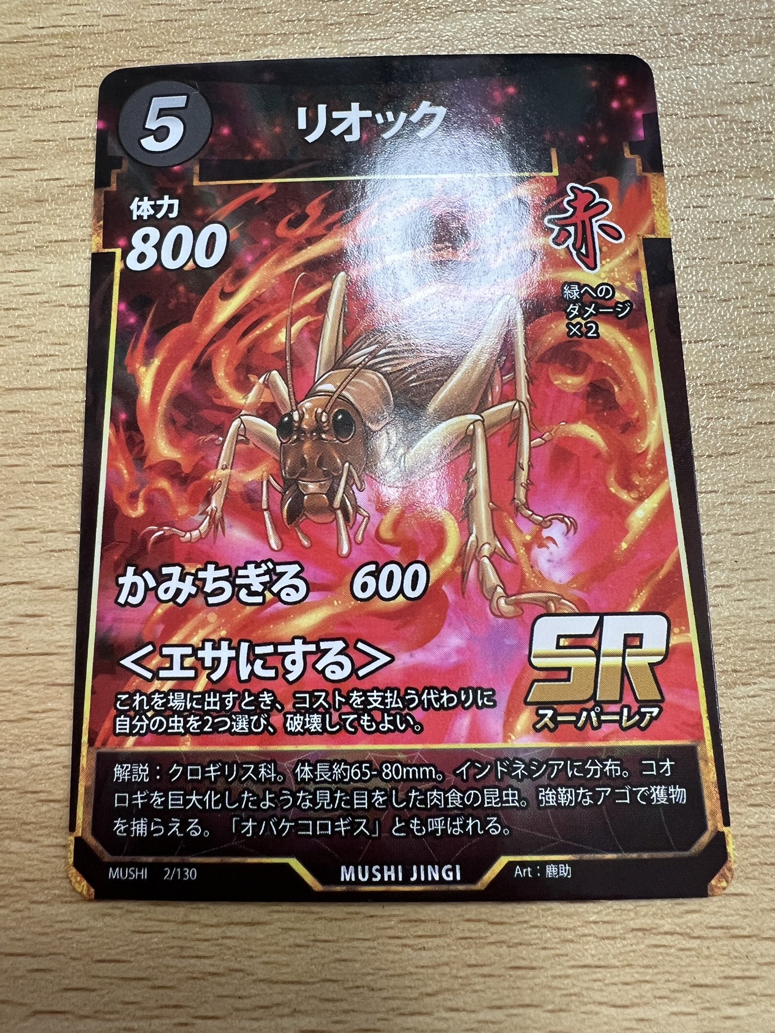 ケイイチ蟲神器 カブイチカップ17 2025/10/11開催決定