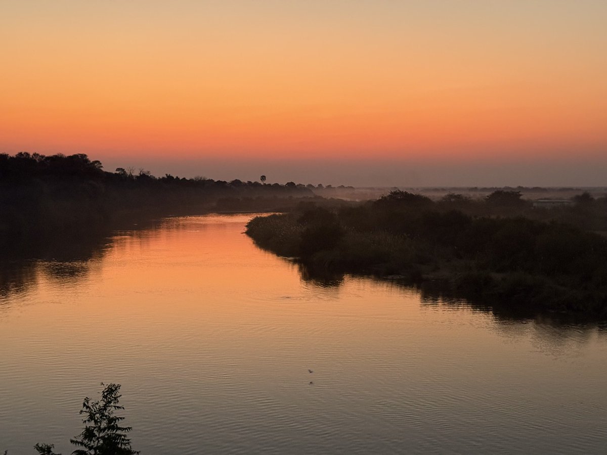 Fabian M. Laage Gaupp tweet media