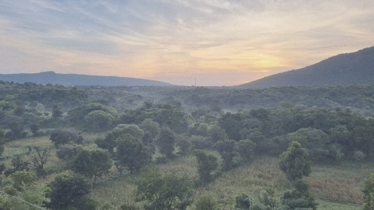 sharmapurnima1's tweet photo. Sometimes, you just need to get lost in the green to find yourself again...
#nature #freshair #quietMist #lushgreen #Aravali #jungle #travel #Hills #rejuvenation #aravalliHills #incredibleIndia https://t.co/vgJ71Jku7E