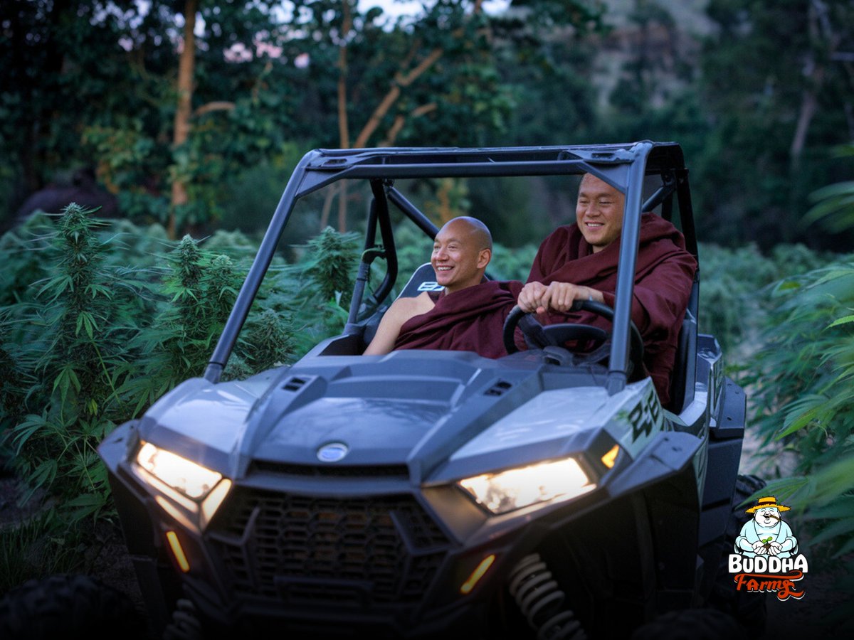 Los monjes saben cómo cuidar la mera mata con estilo...! 🫡🔥⛩️🌿
Mañana les lanzamos a los ganadores de la dinámica, todavía es tiempo de compartir y dejar su like! 🫡🥦🏮
#buddhafarms #420community #mexico #420relax #sorteo420