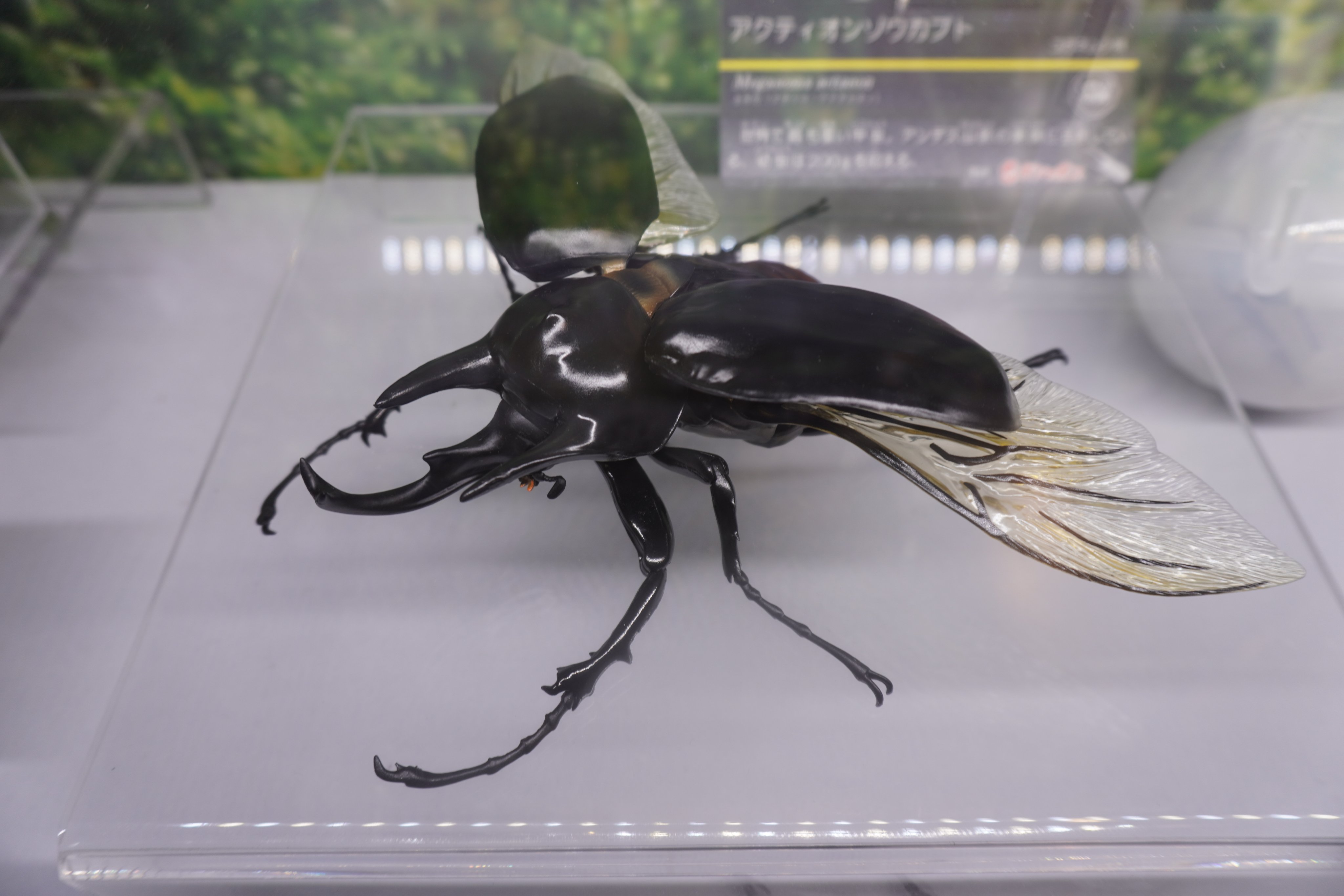 おもちゃ大図鑑 51JaUWk0WQL.jpg_BO30,255,255,