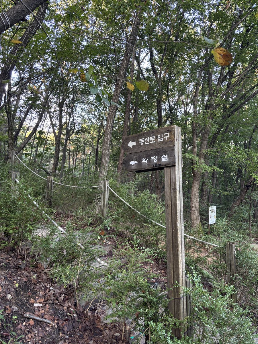 さて今回はどの山でしょう？