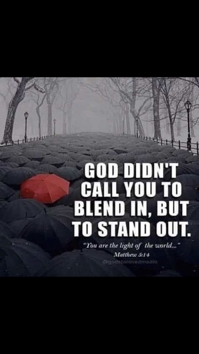 Matchev76's tweet image. 