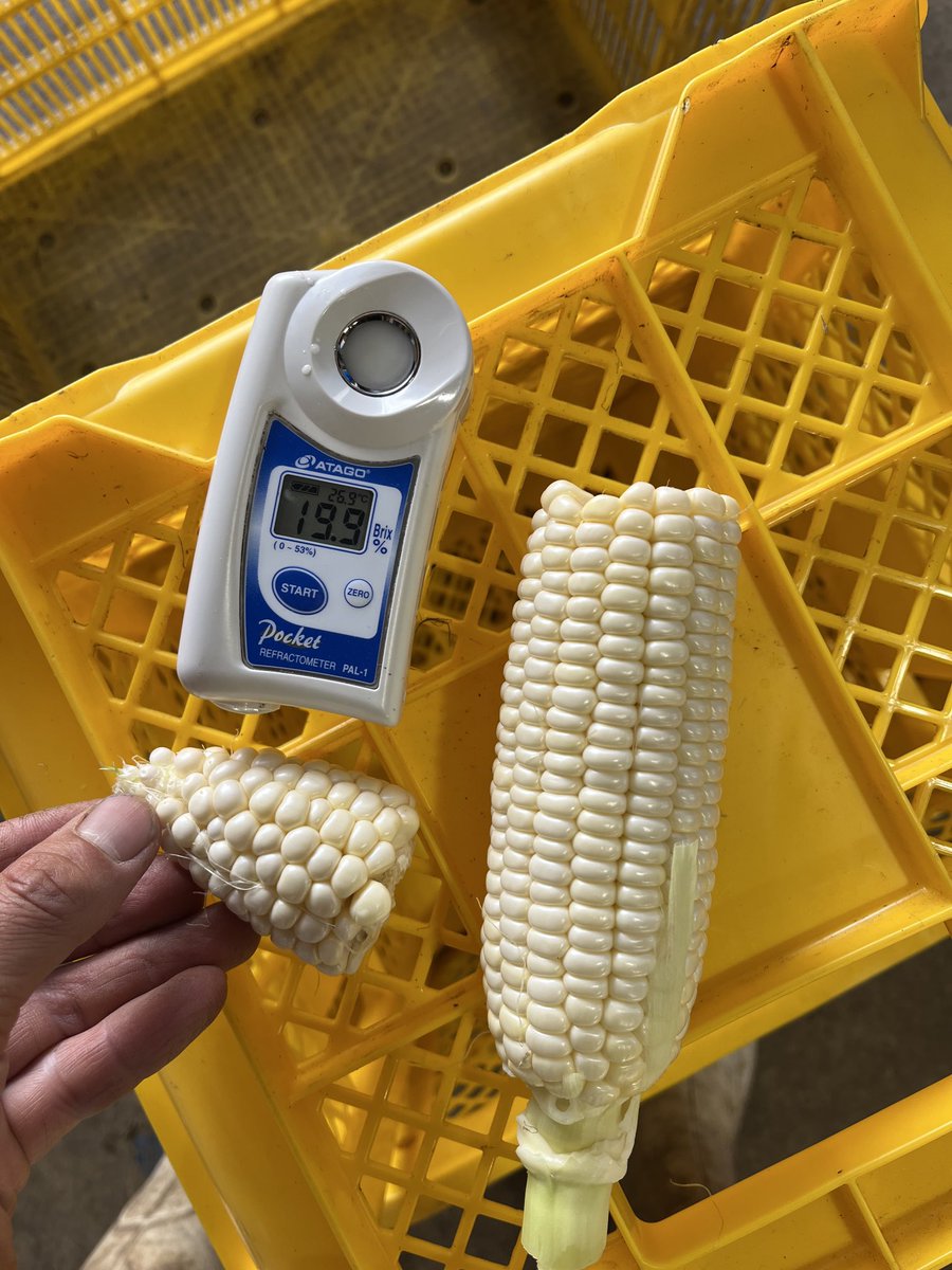 とうもろこしのお店 小林農園 on X