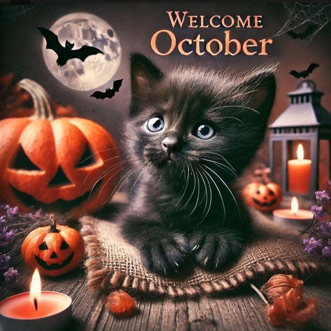 GrannyMooninVA's tweet photo. Good Morning Witchy People!✨✨✨ https://t.co/FdVGvNxTc7