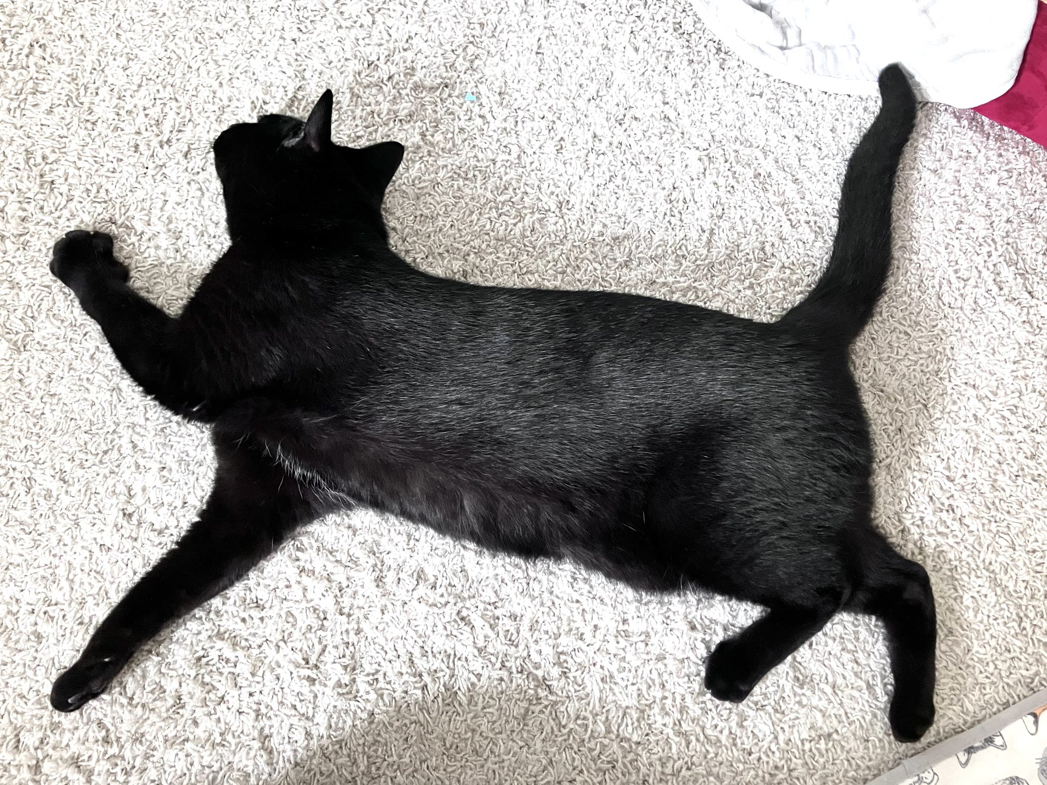 しおやてるこ on X: 