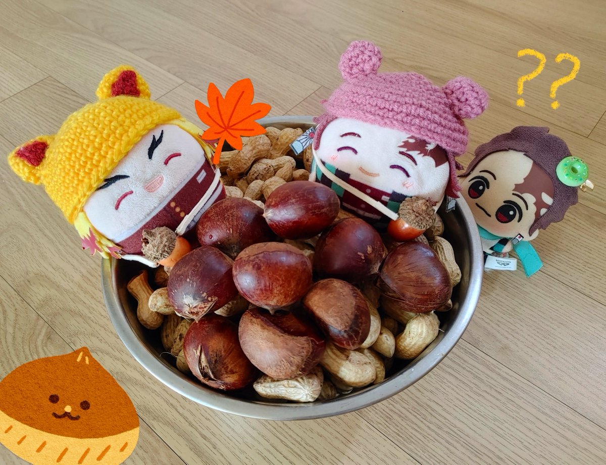 🔥🎴
🍁🌰🥜🌰🥜🍂🍁

🌰｜❛︎︎𖥦❛ )じぃ……