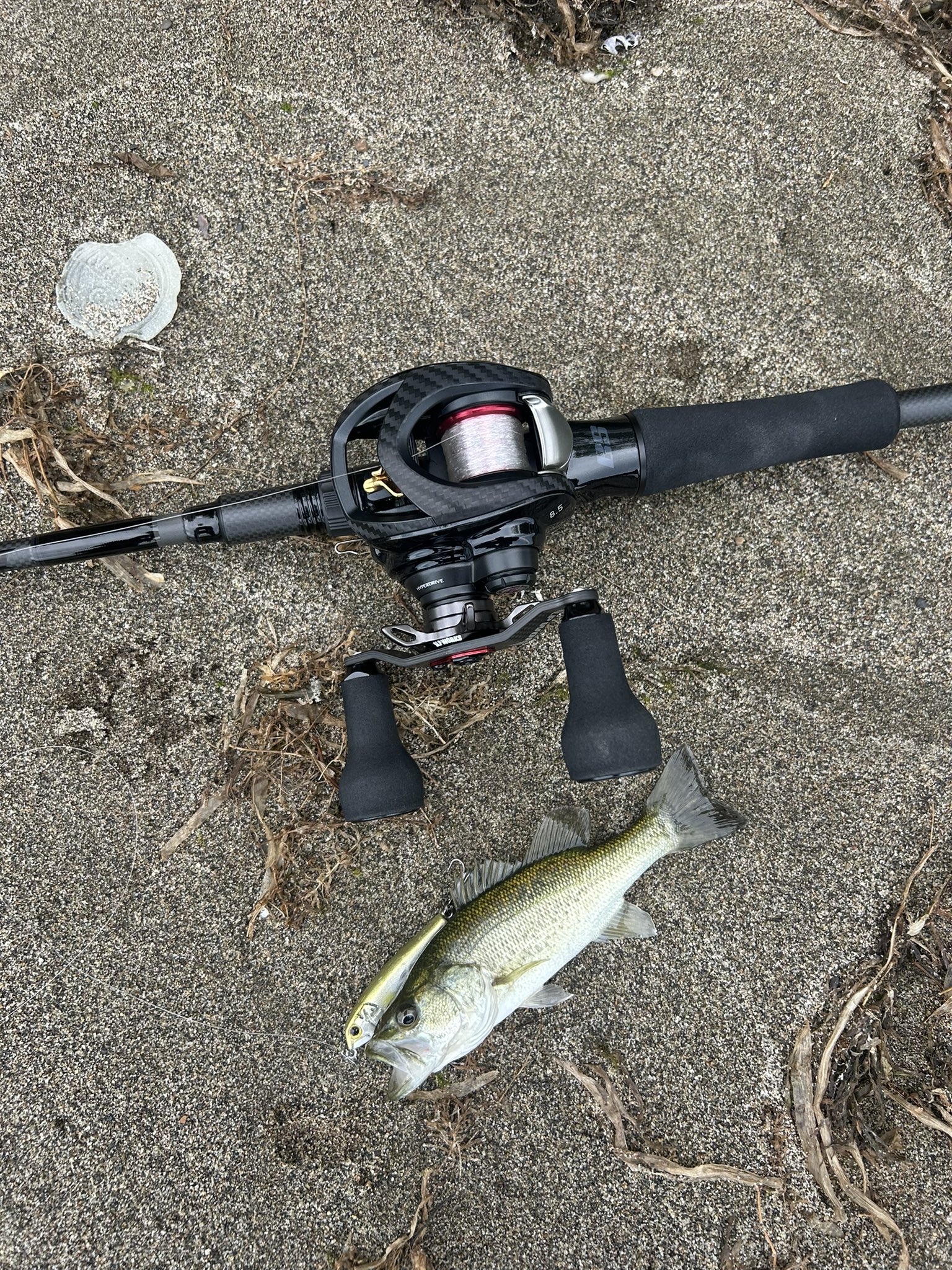 エムワイズ (@myslures) / X