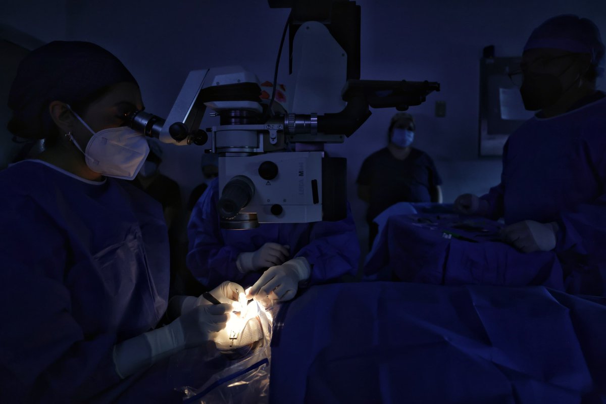 Este Día Nacional de Donación y Trasplante de Órganos y Tejidos les invito a conocer más sobre esta acción que cambia y salva la vida de cientos de personas para brindarles otra oportunidad. 

Asimismo les recuerdo que existe el Centro Nacional de Trasplantes y pueden registrarse