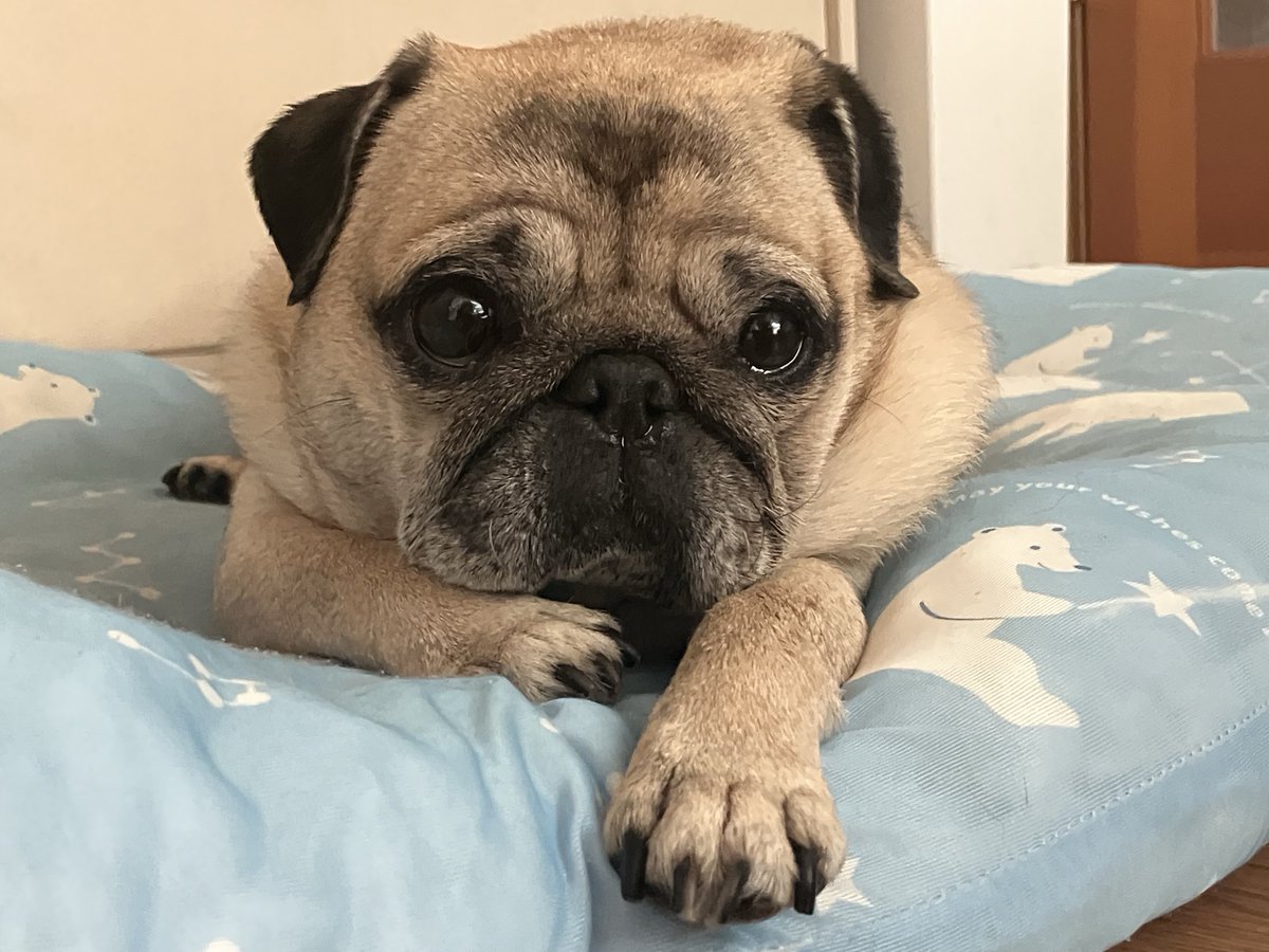 み〜やん☆彡 (@0618Miiyan) / Posts / X