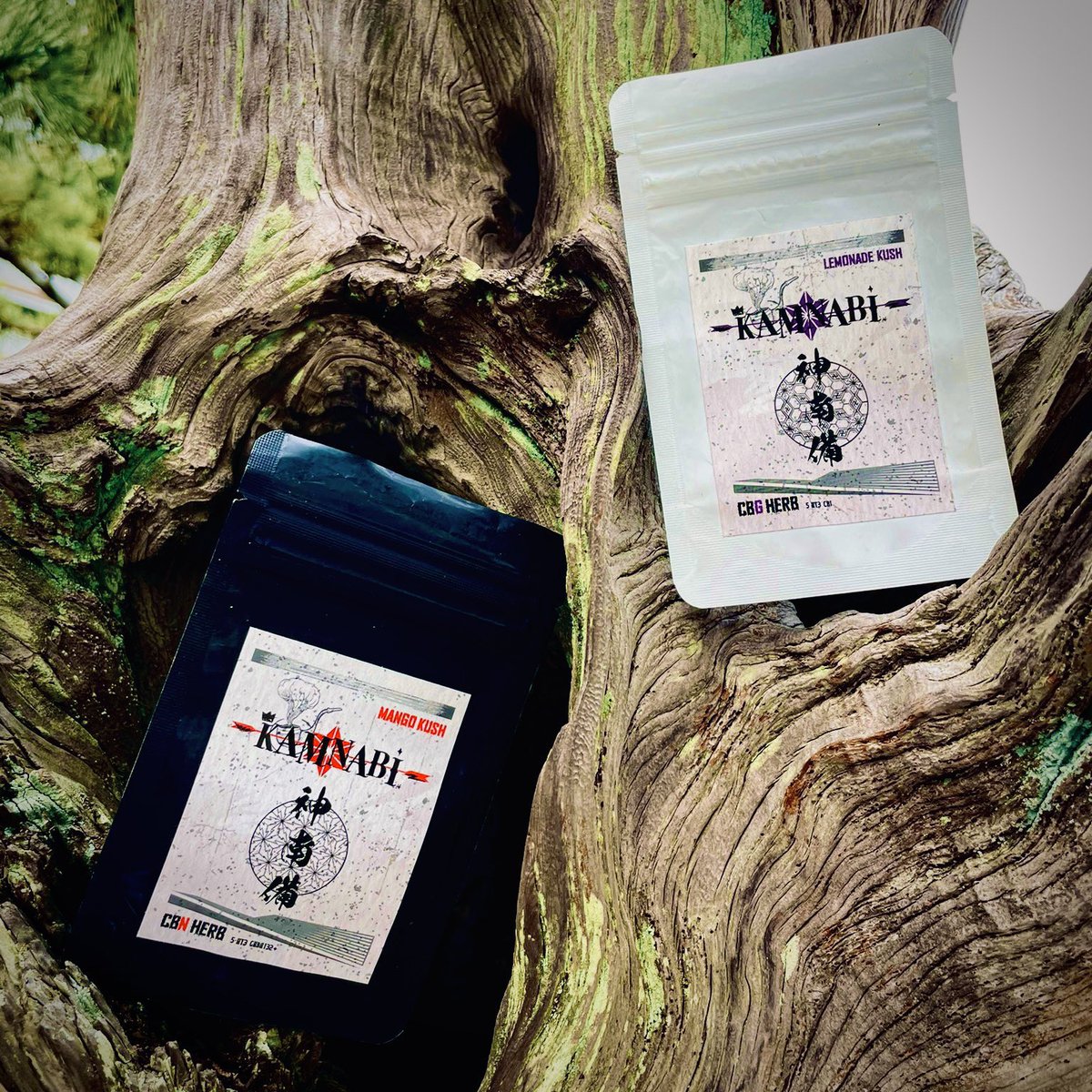 CBD HILLS 新宿店 tweet media