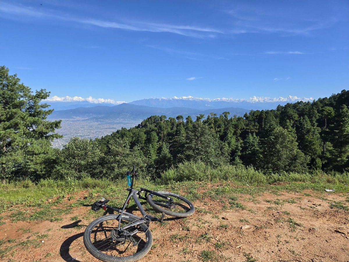 vickyved's tweet image. 