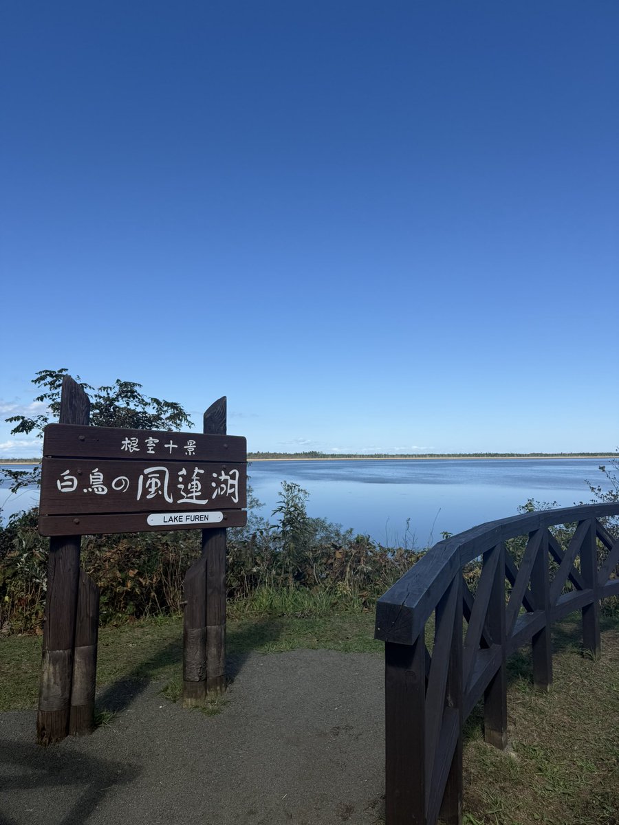 トマティングトマト (@Yx_Tomato_xY) / Posts / X