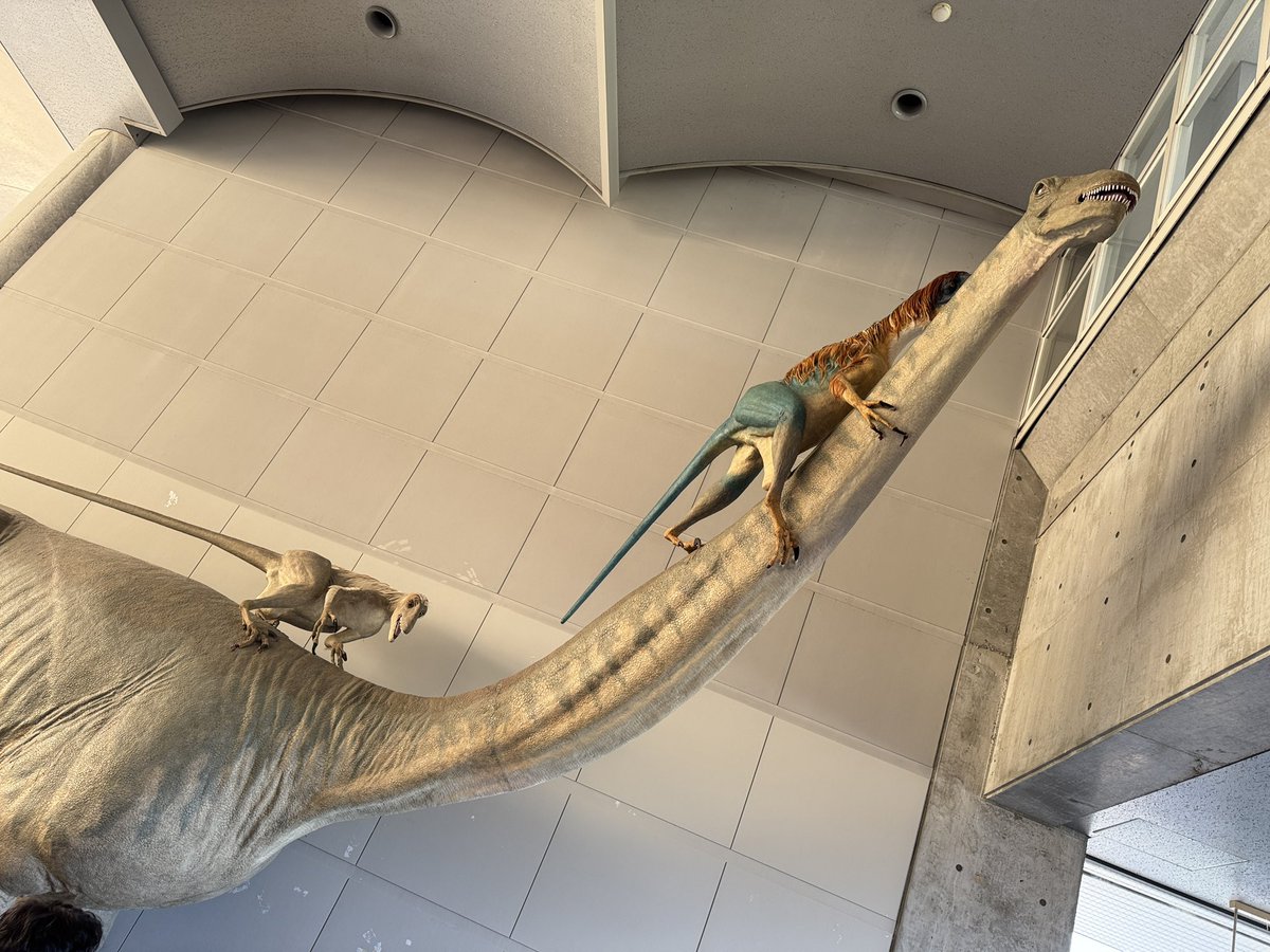 #アジア恐竜国際シンポジウム 
ランチタイムです🍙
#ISAD2025