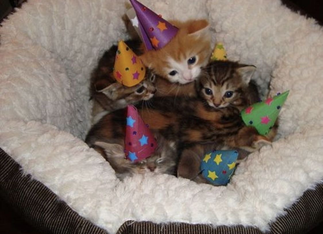 THE HATER (BLOODMONEY DISEASE TAKING OVER) tweet media